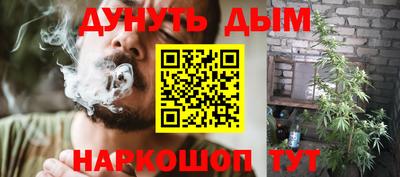 прущие грибы Канаш